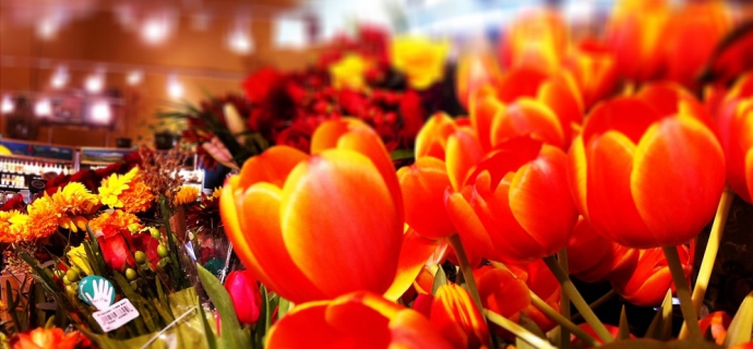 flowershop-690x320.jpg